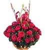 25 Roses with 5 Rojonighanda sticks and 2 kg Misti